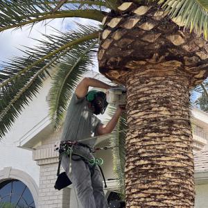 Ryker's Tree Service