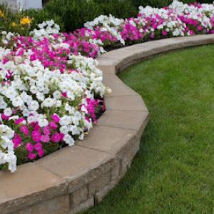 OC Gardening Services