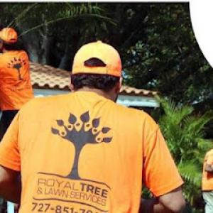 Royal Tree Services
