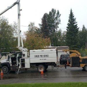 Carlos Tree Service
