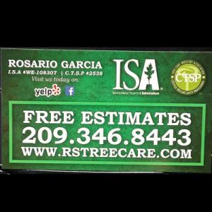 R's Tree Care