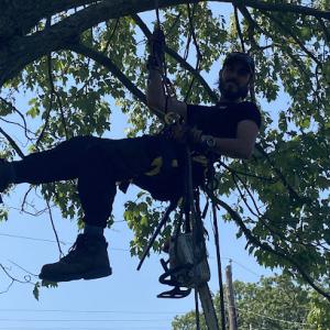 Patterson Tree Service