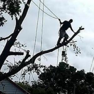 B & B's Tree Service