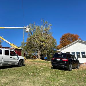 Kelley's Tree SVC.