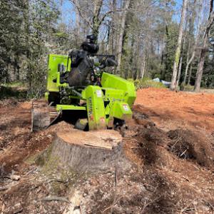 Greenville Grind Stump Solutions