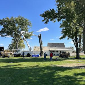 Jeremy's S & S Tree Service