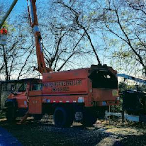 Whispering Pine Tree Care