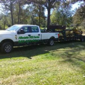 Affordable Tree & Stump Service