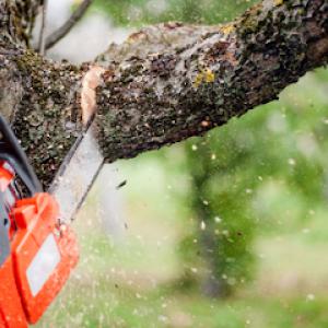 Altman Tree & Land Services