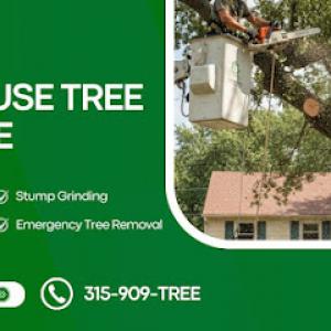 Snowiest City Tree Service