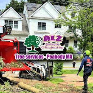 ALZ Tree Service