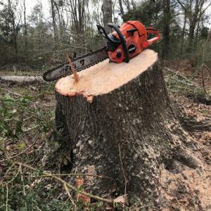 Spencer's Tree Service