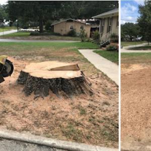 Matlock Stump Removal