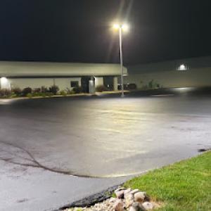 Morning Wood Tree Service