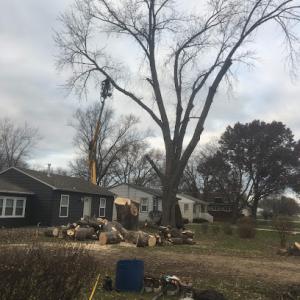 Bubba's Tree Experts & Hauling