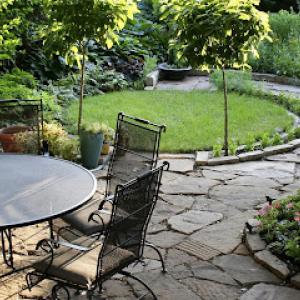 Signature Tree & Home