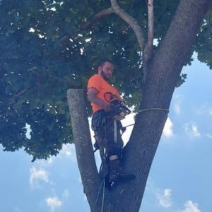 Charbonneau Tree Service