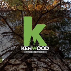 Kenwood Tree Service