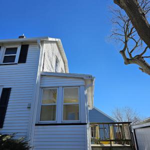 Bonzi's Tree Service