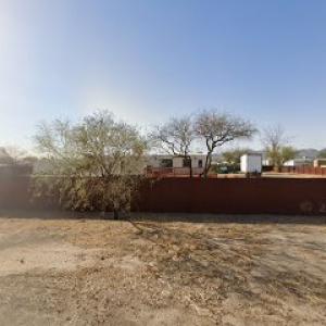 Desert West Tree & Landscape