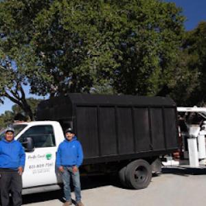 Pacific Coast Tree Service