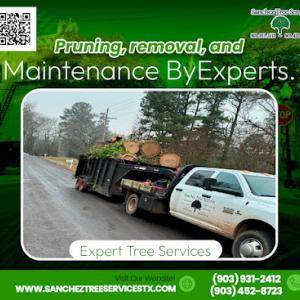 Sanchez Tree Services