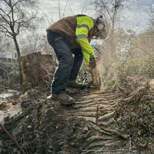 Twin Cities Tree Service