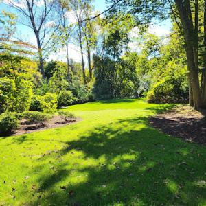 SavATree - Tree Service & Lawn Care