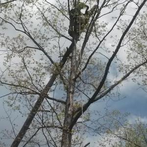 Hanover Pruning & Hardscapes