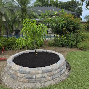 Byrd's Lawn & Landscape