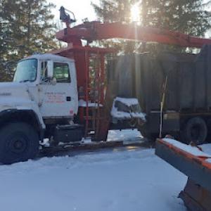 Steve-N-Sons Tree Service