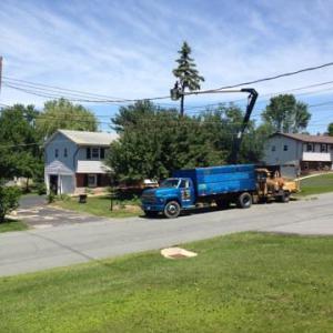 Cherry Hill Tree Expert Company