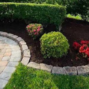 Green World landscaping