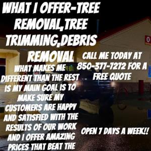 Davis tree service