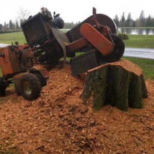 West Mobile Tree Service