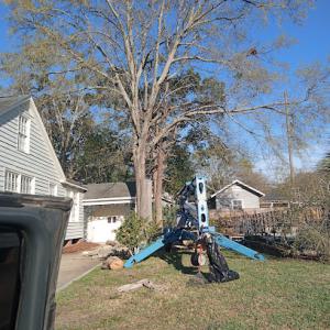 Cooper's Tree Service