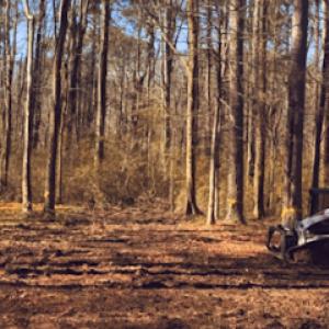 Hernandez Bros. Tree Service