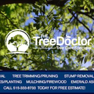 The Tree Doctor