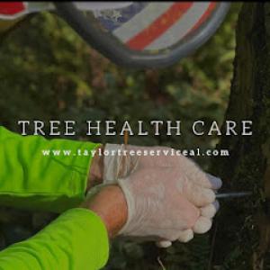 Taylor Tree Services