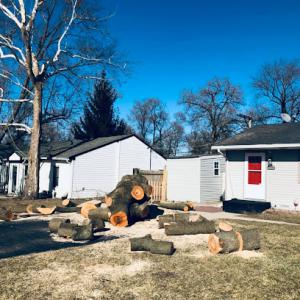 Alvaro’s Tree Service