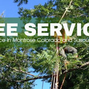 Montrose Tree Services