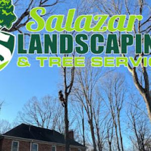 Salazar Landscaping & Tree Service