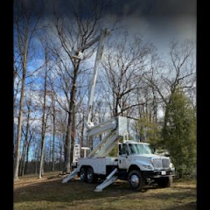 T & K Tree & Crane Service