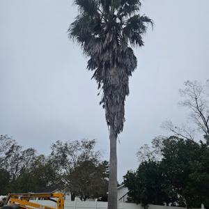 Southern Shade Property Service