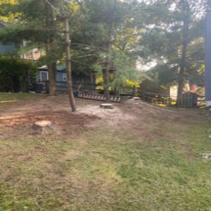 All Seasons Tree Specialist