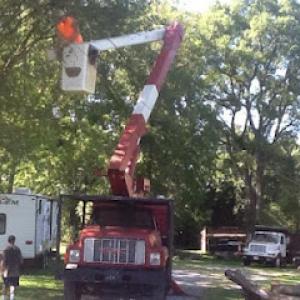 Barber's Tree Service