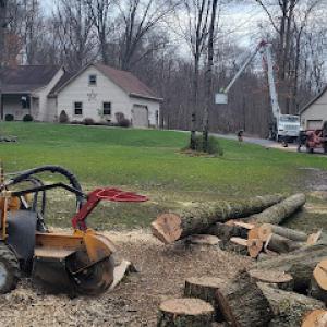 Dave & Son Tree & Land Management