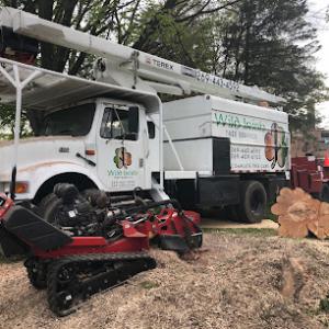 Wild Irish Tree Service