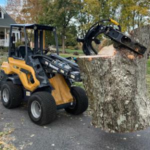Timbermen Tree Services