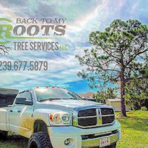 Back To My Roots Tree Services